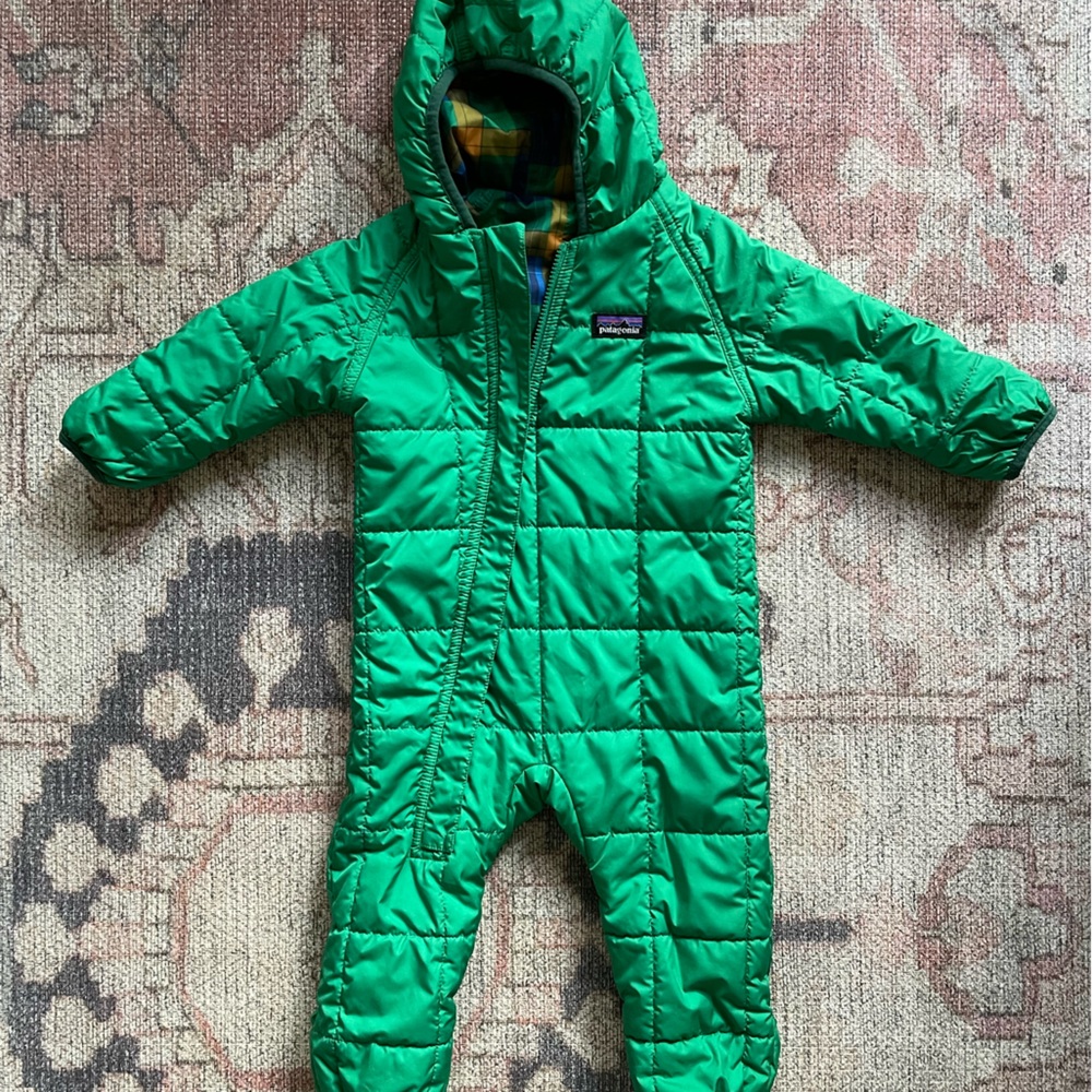 Reversible Patagonia bunting
